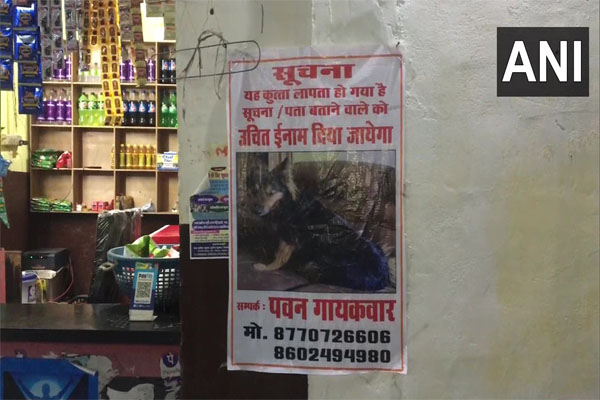 IAS officer dog goes missing in Gwalior, police engaged in search, posters put up everywhere, Gwalior News in Hindi mastram